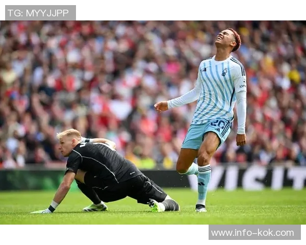 枪手旧将林帕称廷伯攻防均衡将助萨卡提升表现